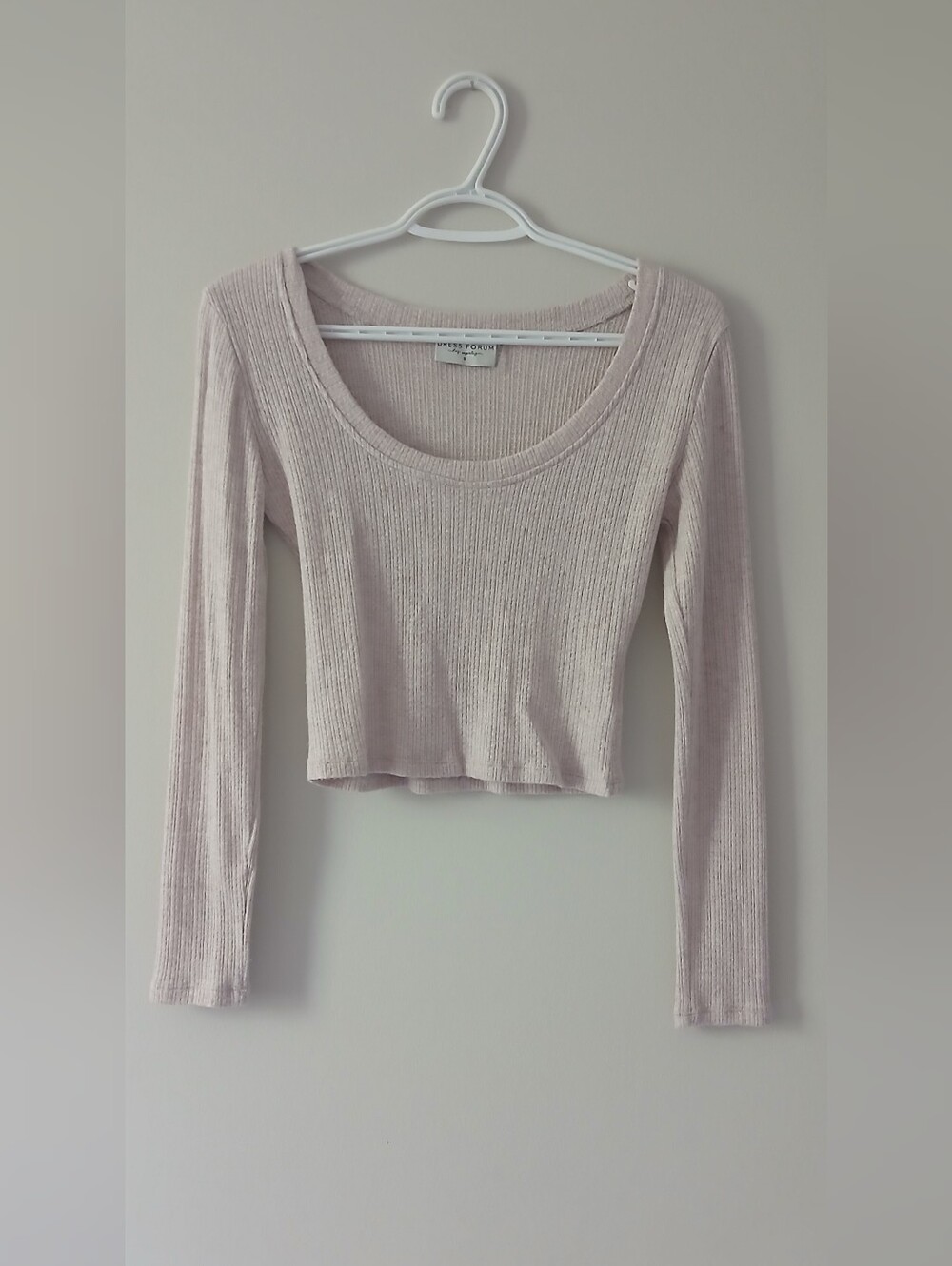 Dress Forum Pale Blush Crop Top